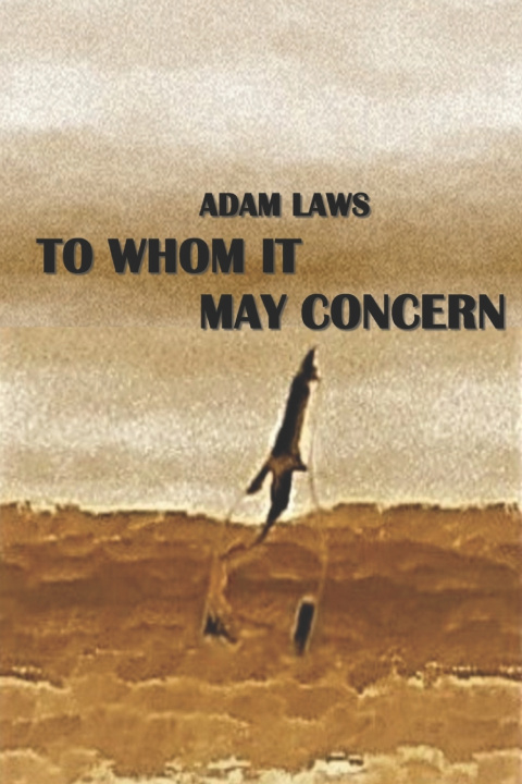 Boek To Whom It May Concern Laws Adam Laws