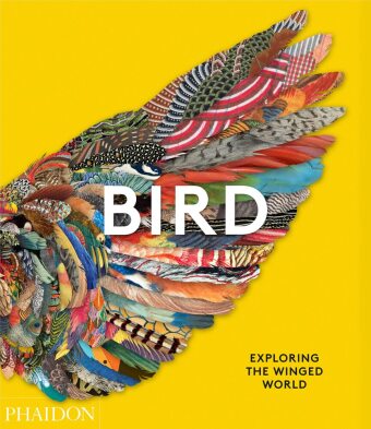 Carte Bird, Exploring the Winged World 
