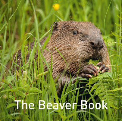Kniha Beaver Book Hugh Warwick