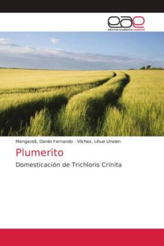 Knjiga Plumerito MEN DANILO FERNANDO