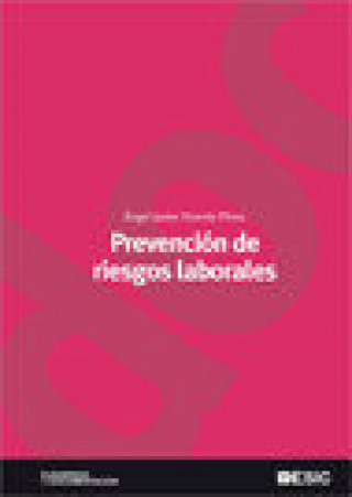 Kniha Prevención de riesgos laborales Vicente Pérez