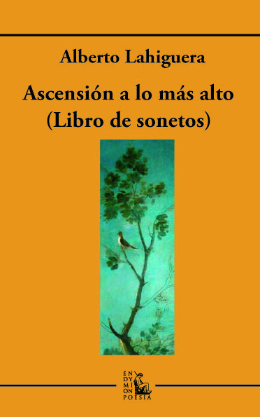 Boek Ascensión a lo más alto Fernández de Valderrama