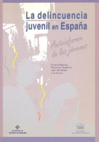 Kniha La delincuencia juvenil en españa, autoinforme de los jóvenes Rechea