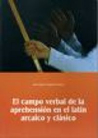 Kniha CAMPO VERBAL DE LA APREHENSION EN EL LATIN ARCAICO Y CLASICO DELGADO SANTOS