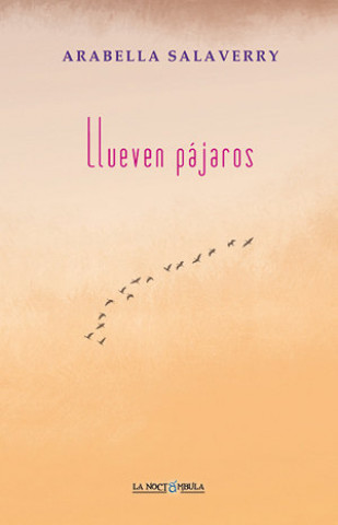 Boek Llueven pájaros Salaverry