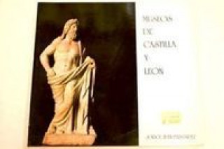 Libro MUSEOS CASTILLA Y LEON FERNANDEZ