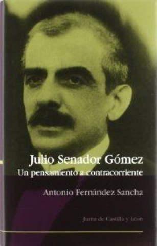 Könyv JULIO SENADOR GOMEZ.UN PENSAMIENTO A CONTRACORRIENTE FERNANDEZ SANCHA