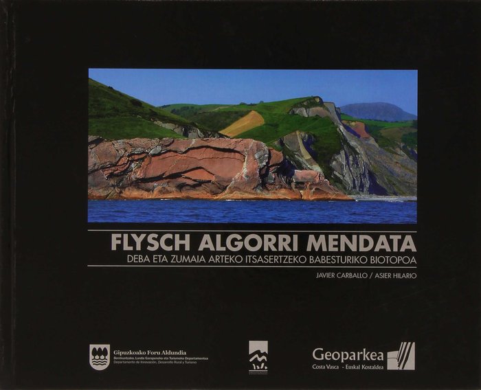 Kniha Flysch Algorri Mendata 