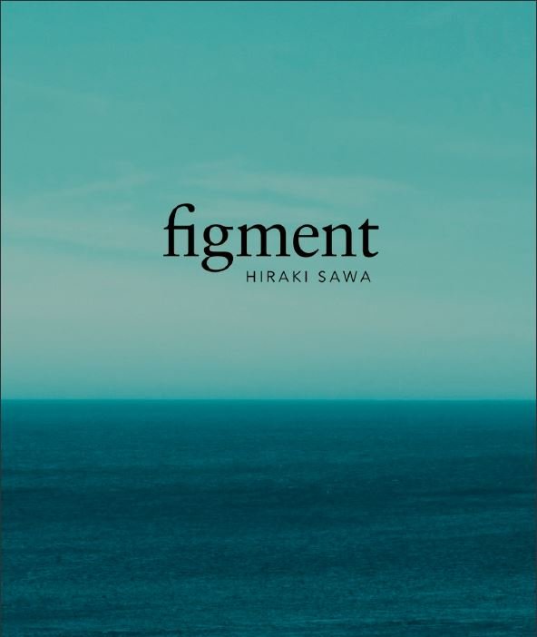 Knjiga FIGMENT 