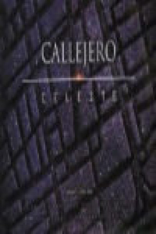 Kniha Callejero celeste DIAZ SOSA