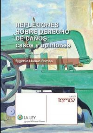 Könyv Reflexiones sobre Derechos de daños: casos y opiniones Llamas Pombo