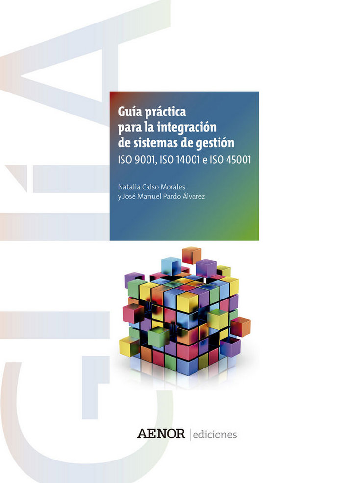 Kniha Guía práctica para la integración de sistemas de gestión Calso Morales
