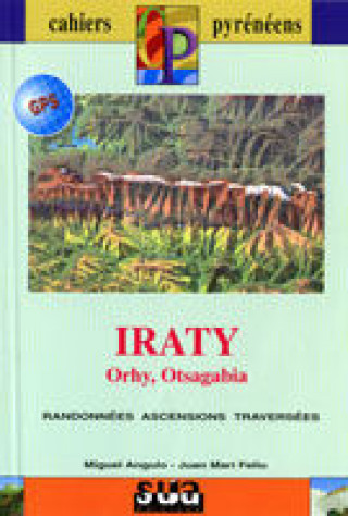 Carte Iraty - Orhy-Otsagabia Feliu