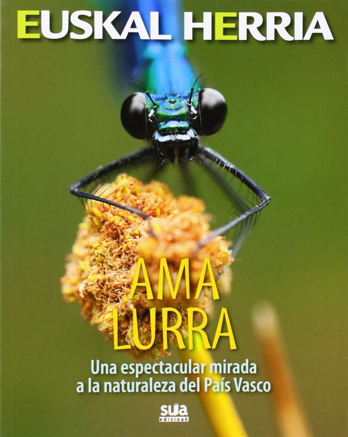 Книга Ama lurra Muñoz Robredo