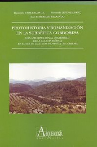 Könyv Protohistoria y romanización en la Subbética cordobesa. Una aproximación al desarrollo de la cultura Vaquerizo Gil