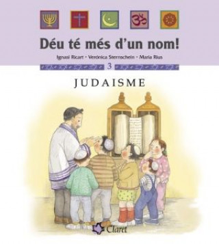 Boek Judaisme Sternschein