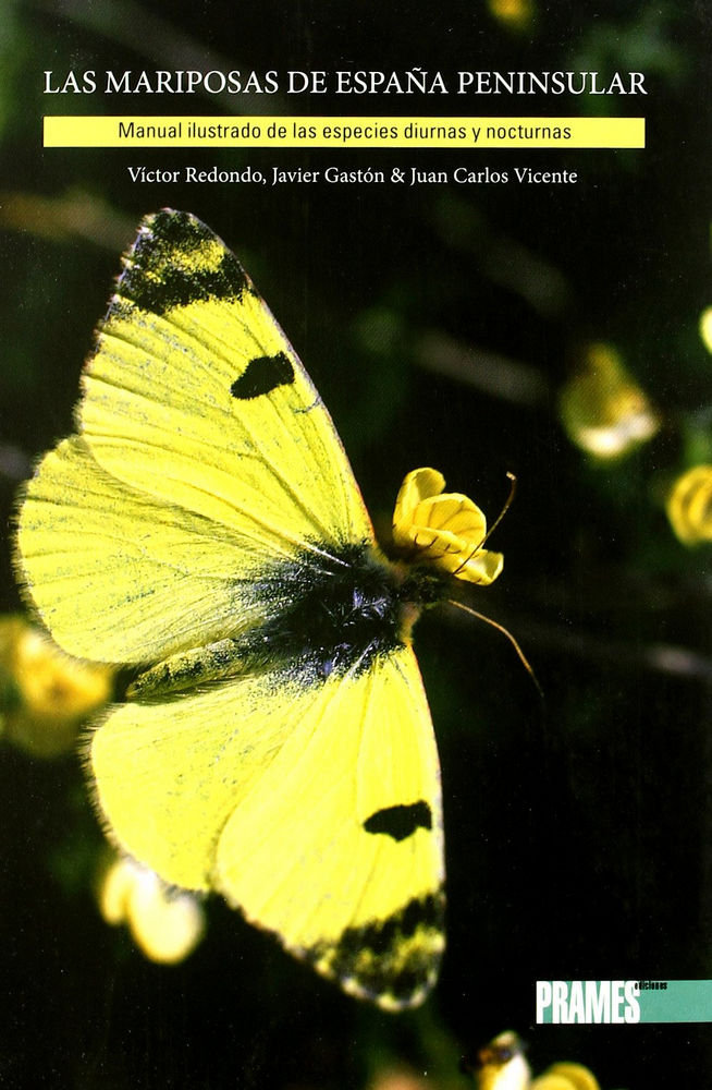 Könyv MARIPOSAS DE ESPAÑA PENINSULAR, LAS REDONDO VEINTEMILLAS