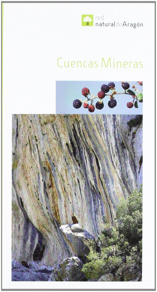 Книга CUENCAS MINERAS ROS NAVARRO