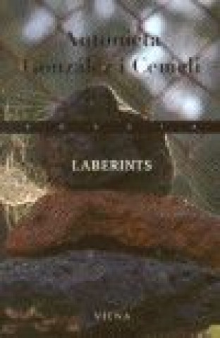 Boek Laberints GONZALEZ CEMELI