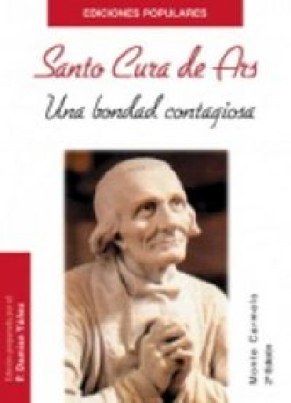 Könyv Santo Cura de Ars Yáñez