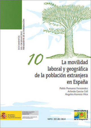 Kniha La movilidad laboral y geográfica de la población extranjera en España Pumares Fernáncez