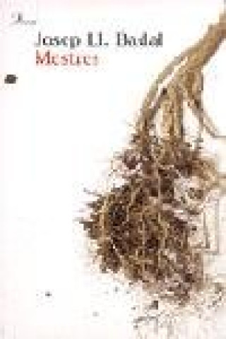 Buch Mestres Badal Franco
