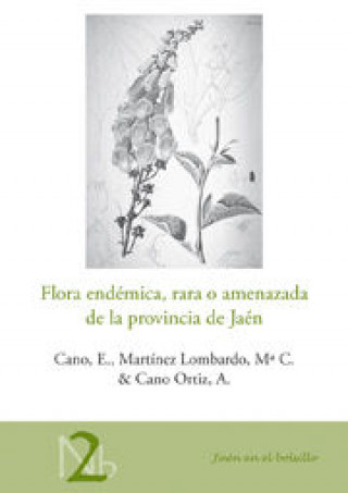 Buch Flora endémica, rara o amenazada de la provincia de Jaén Cano Carmona