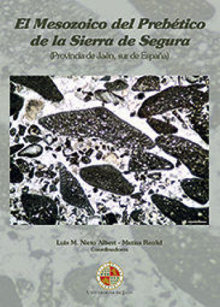 Könyv El Mesozoico del Prebético de la Sierra de Segura (Provincia de Jaén, sur de España) 