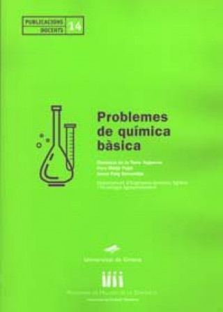 Könyv Problemes de química bàsica Torre