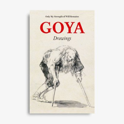 Könyv Goya Drawings 
