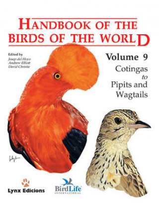 Kniha Handbook of the Birds of the World. Vol.9 