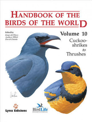 Książka Handbook of the Birds of the World. Vol.10 