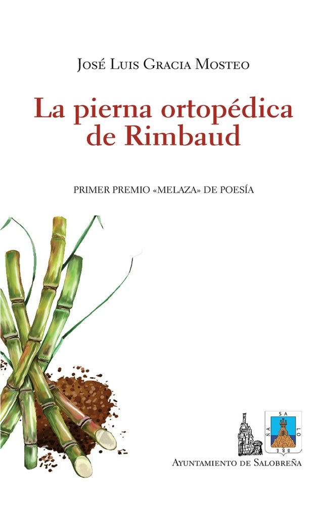 Könyv La pierna ortopédica de Rimbaud Gracia Mosteo