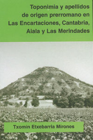 Kniha Toponimia y apellidos de origen prerromano en Las Encartaciones, Cantabria, Aiala y Las Merindades ETXEBARRIA MIRONES