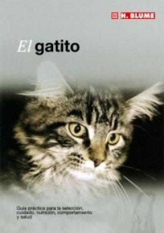 Kniha El gatito 