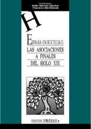 Könyv España en sociedad. Las asociaciones a finales del siglo XIX GRUPO DE ESTUDIO