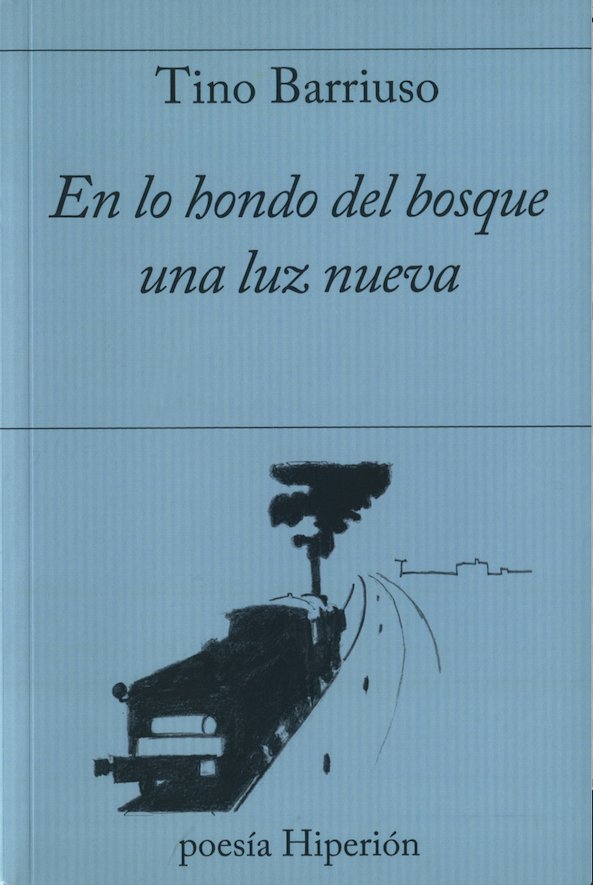 Kniha EN LO HONDO DEL BOSQUE UNA LUZ NUEVA BARRIUSO