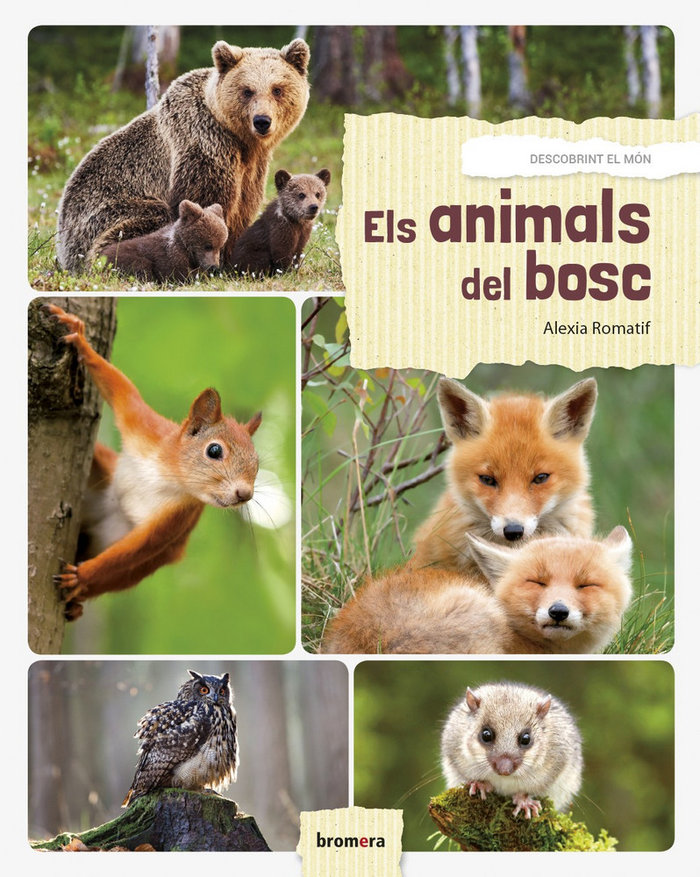 Libro Els animals del bosc Romatif