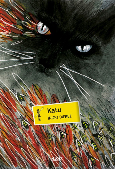 Βιβλίο Katu Antsorregi Dierez