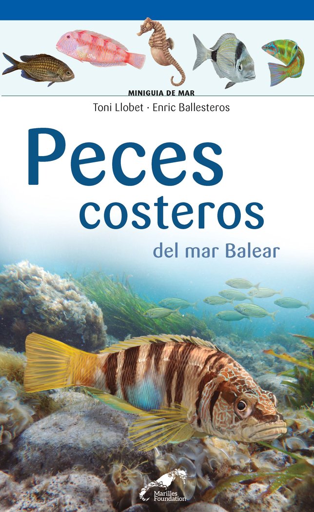 Könyv Peces costeros del mar Balear Ballesteros Sagarra