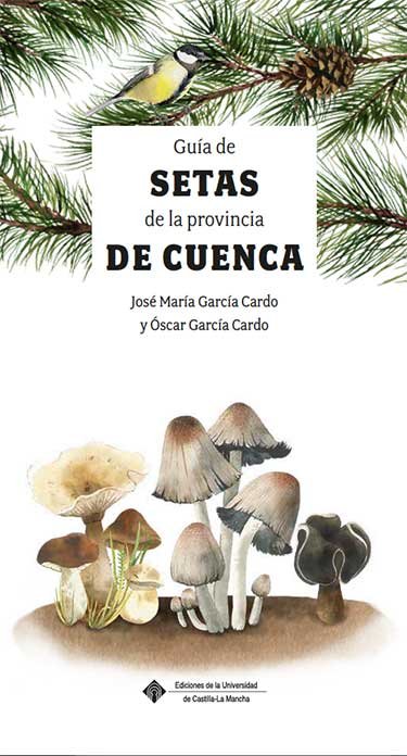 Könyv Guía de las Setas de la provincia de Cuenca Óscar García Cardo