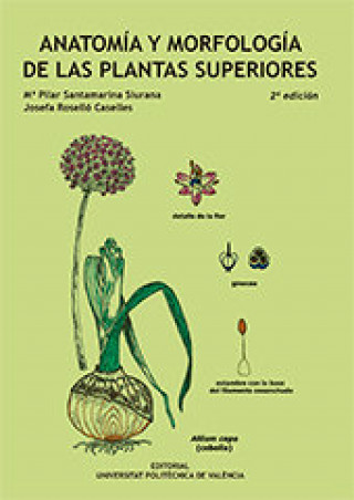 Kniha Anatomía y morfología de las plantas superiores Santamarina Siurana