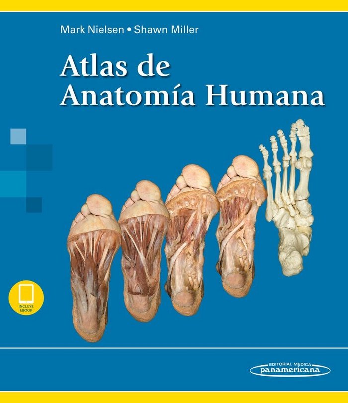 Kniha NIELSEN:Atlas de AnatomÆa Humana+e 