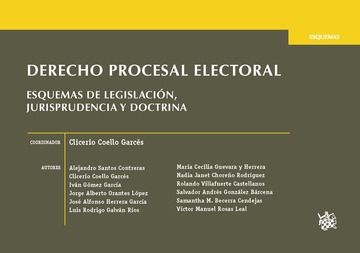 Könyv Derecho Procesal Electoral Esquemas de Legislación, Jurisprudencia y Doctrina Santos Contreras