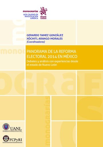 Kniha Panorama de la reforma Electoral 2014 en México Tamez González