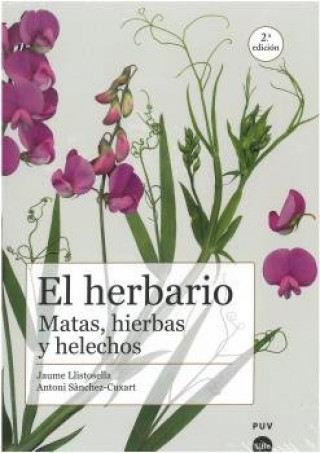 Könyv El herbario: matas, hierbas y helechos Sánchez Cuxart
