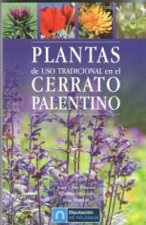 Kniha PLANTAS DE USO TRADICIONAL EN EL CERRATO PALENTINO CRUZ PASCUAL