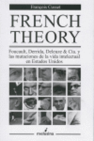Knjiga French Theory Cusset