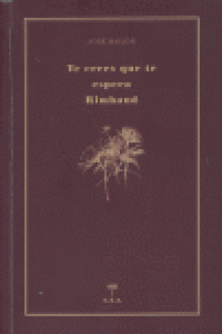 Livro TE CREES QUE ESPERA RIMBAUD BAILON