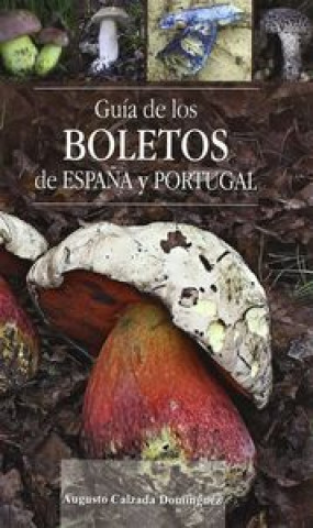 Kniha Gu­a de los boletos de España y Portugal CALZADA DOMINGUEZ AUGUSTO
